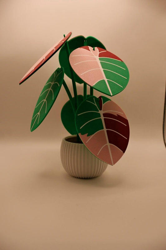 Alocasia Plant Coaster Set Leaf Coasters in Pot Decorative Table Decor