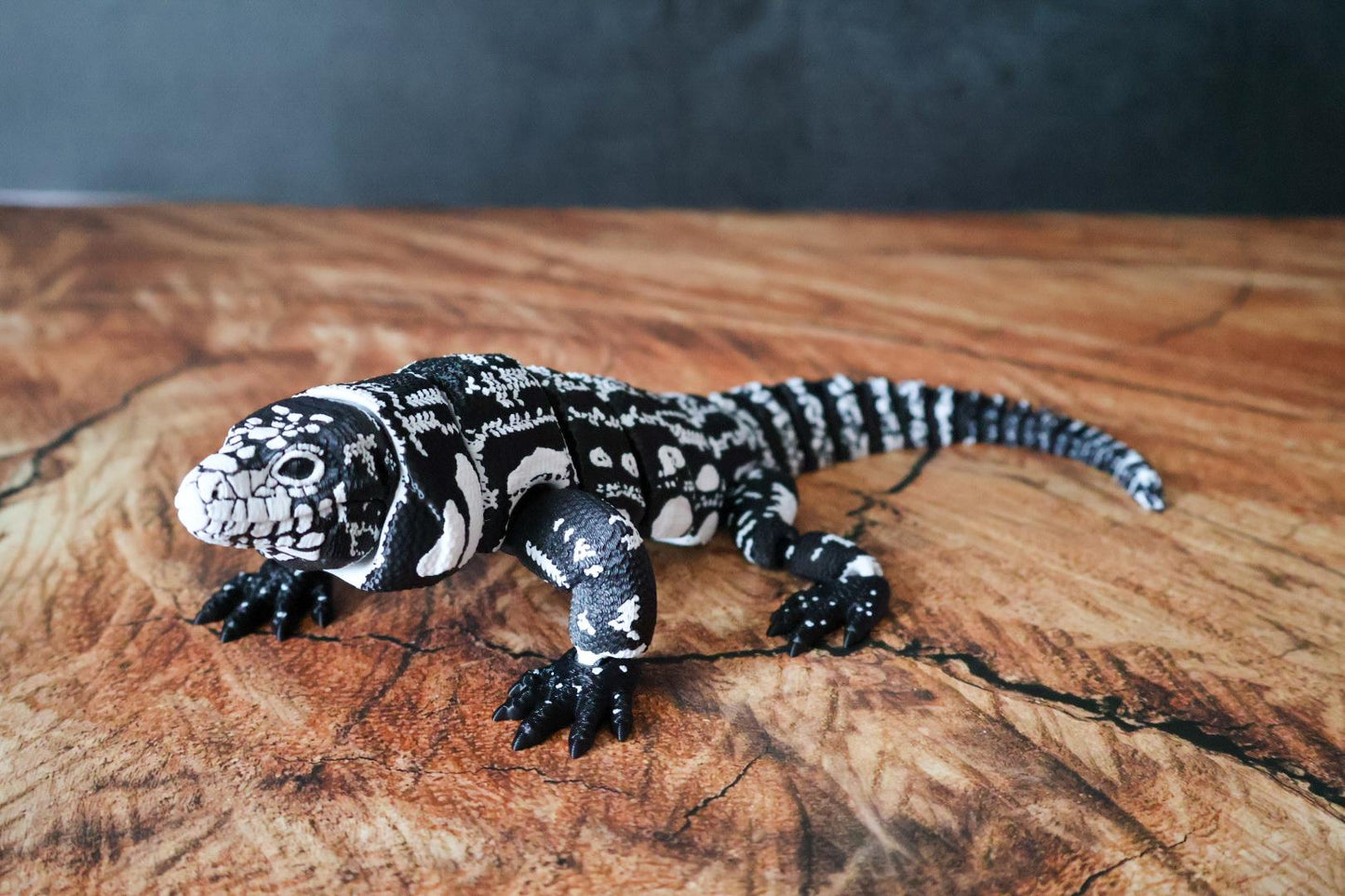 Articulated Tegu Lizard Fidget Toy | 12-Inch Black and White Reptile Model