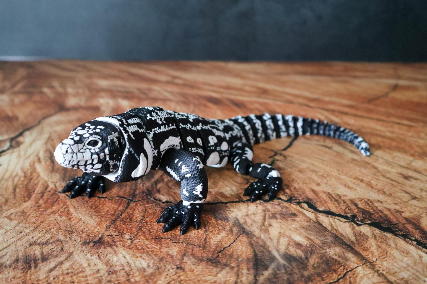 Articulated Tegu Lizard Fidget Toy | 12-Inch Black and White Reptile Model